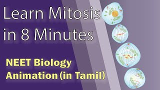 Tamil NEET Biology Animation Mitosis  Cell cycle and cell division [upl. by Enelehcim]