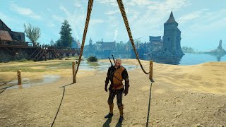 I feel like a blind man for not noticing this in Novigrad  Witcher 3 [upl. by Vaish121]