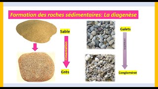 Formation des roches sédimentaires Diagenèse SVT 1APIC [upl. by Jeffers661]