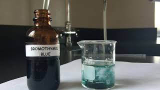 ღღ Bromothymol Blue Respiratory Physiology Experiment ღღ [upl. by Bevis]