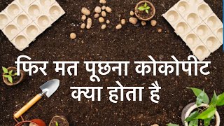 Right way to use cocopeat कोकोपीट कैसे इस्तेमाल करें [upl. by Vial550]