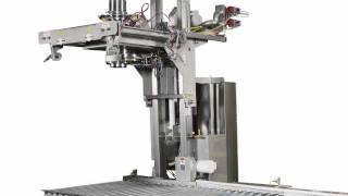 Sanitary Bulk Bag Filler for Food Processing Applications [upl. by Lemraj28]