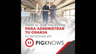 PigKnows Administra todas las areas de tu granja [upl. by Jessey180]