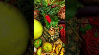 uga hai suraj dev bhojpuri chhath pooja geet by anuradha paudwal shortsfeed shortvideo ytshorts [upl. by Jo]