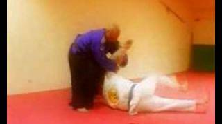 Real Aikido France Fushan Kwoon [upl. by Aivatnwahs5]