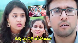 Priyadarshi Pulikonda Outstanding Cricket Playing Comedy Scene  Ram  Kireeti  TeluguMovies [upl. by Eimarej500]