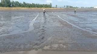 Rice irrigators save a lot of sowing time [upl. by Bonney]