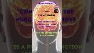 Secrets of the Midbrain 3 nursequiz quiz brain braintest nuro gk quiz [upl. by Westland579]