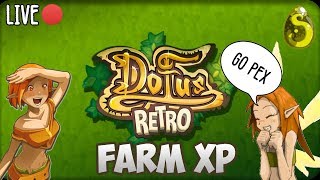 DOFUS RETRO  130  ON LVL UP LA TEAM FARM XP  NEED MINEUR 40 POUR CRAFT  VIENS D [upl. by Gard]