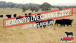 Lochie McLauchlan is headed to LIVEXchange 2022 [upl. by Barcot92]