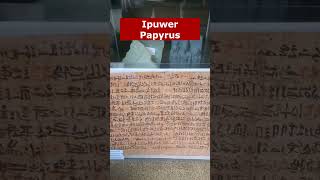 Ipuwer Papyrus amp 10 Plagues of Egypt museum short coin museumofthebible bible [upl. by Anahsohs]