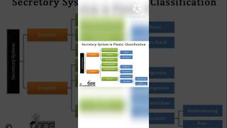 Secretory tissues in plants mystery soni [upl. by Allerim]