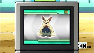 Stoutland Pokédex Entrywmv [upl. by Ida]