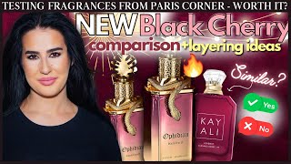 NEW🍒 Ophidian Collection  BLACK CHERRY by Paris Corner Review Comparison amp Amazing Layering Ideas [upl. by Camilo]