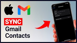 How to Sync Gmail Contacts To iPhone  2024 [upl. by Fransis405]