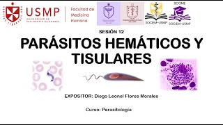 PARASITOLOGÍA  SESIÓN 12  DIEGO FLORES  2024 II [upl. by Isabel10]