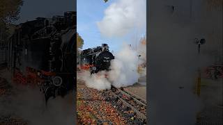 Ausfahrt BR 99 787 der Zittauer Schmalspurbahn vom Bahnhof Zittau mit ordentlich Dampf am 03112024 [upl. by Kit]