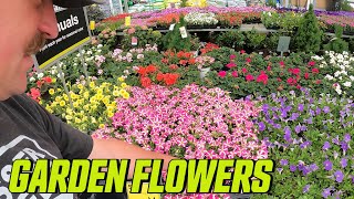 Annual FLOWER haul at THE HOME DEPOT [upl. by Llerad519]