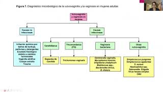 EXUDADO VAGINAL Y URETRAL MICRO [upl. by Absa]