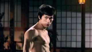 Bruce Lee Tribute THE GLOW HD [upl. by Trilby391]