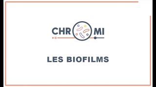 Chroniques Microbiennes  Les Biofilms [upl. by Amadeo]