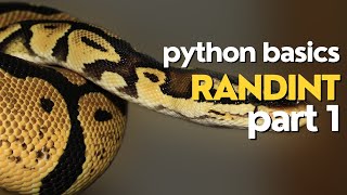 Python Basics Randint Command  Part 1 [upl. by Labanna]