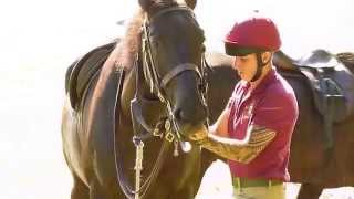 The Life Guards Holkham Beach 2014 [upl. by Leivad663]