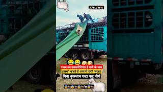 गजब एक्सपीरियंस है इस बन्दे के पास 🙏😭  Traffic Rule  traffic trafficrules shorts Upwalavlog [upl. by Ayirp571]