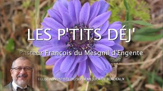 1361  Les Ptits déj spirituels  Reçois le comme moi même  Philémon 17 [upl. by Drice522]