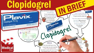 Clopidogrel  Plavix 75 mg  What is Clopidogrel Used For Dosage Side Effects amp Precautions [upl. by Anaoy]