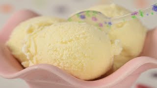 Easy Vanilla Ice Cream Recipe Demonstration  Joyofbakingcom [upl. by Ahsote]