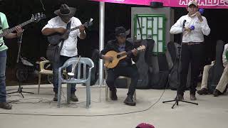 Instrumental de musica llanera interpretada con bandola [upl. by Alohs788]