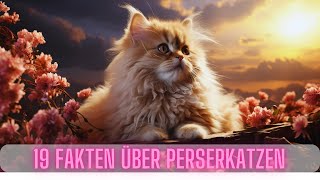 19 Interessante Fakten über Perserkatzen 😻 Passt eine Perserkatze zu mir 🤔 [upl. by Ahsinyar]