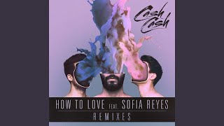 How to Love feat Sofia Reyes Boombox Cartel Remix [upl. by Noyar]