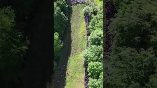 Coopers Hill cheeserolling chasing down the cheese [upl. by Becca429]