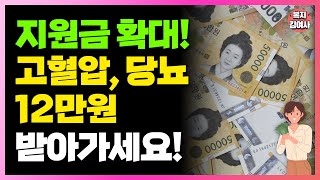 고혈압 당뇨 있다면 지원금 12만원 받아가세요 신청해야 줍니다 [upl. by Atazroglam655]