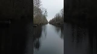 Dismal Swamp NC [upl. by Auahsoj]