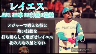 2025年北海道日本ハムファイターズ応援歌19 [upl. by Retla]