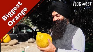 Dehradoon To Nawanshahr  VLOG 137  Bhai Gagandeep Singh Vlogs [upl. by Quintina]