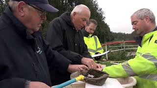 Herfstbloeiers in waterwingebied AnnenBreevenen  ROEG uitzending [upl. by Ruamaj304]