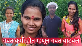 हि कशाला आनंल आसंल हि तांदूळ हायत कुठनं आनलय शेजारच्यातन आनलयbhagwat gude virel vlog Arpita [upl. by Akirahc639]