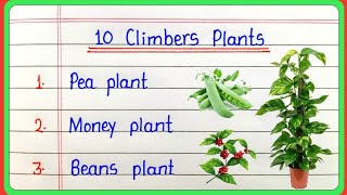 10 Climber plants name in english and hindi  Climbers plant  10 Climbers name  Climbers ke naam [upl. by Jun]