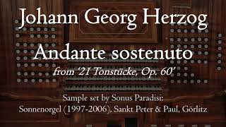 Herzog  Andante sostenuto Op 60  Sonnenorgel Görlitz Sonus Paradisi [upl. by Harday684]