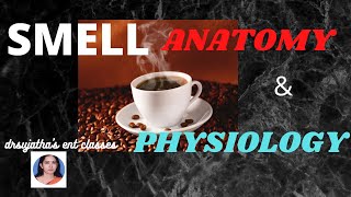 079Anatomy amp Physiology of SmellOlfaction Part 12 anatomylectures physiology [upl. by Ainoval]