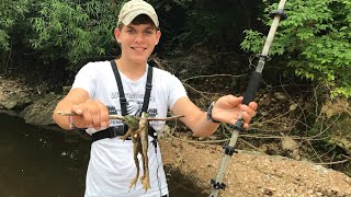 Blowgunning Frogs in Tiny Puddle [upl. by Deden]