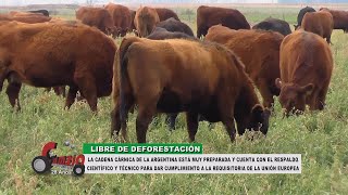 Programa Cambio Agropecuario 1378  Emisión Nº 021 Ciclo 2024 Fecha 25052024 [upl. by Anola]