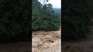 Las lluvias en Buenaventura tienen al rio San Cipriano crecido [upl. by Aeriell18]