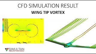 WING TIP VORTICES CFD RESULT [upl. by Ryhpez]