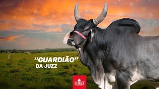 Guardião da Juzz [upl. by Willem56]