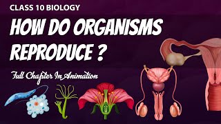 How Do Organisms Reproduce Full Chapter🔥 in Animation Class 10th Science CH6 NCERT covered [upl. by Huberty132]